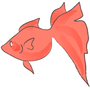 金魚