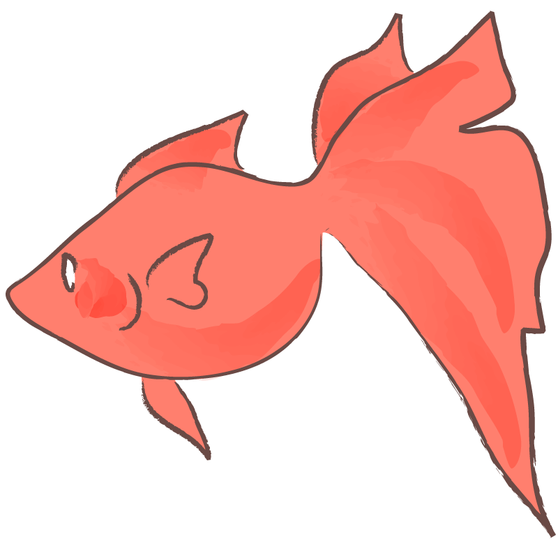 金魚