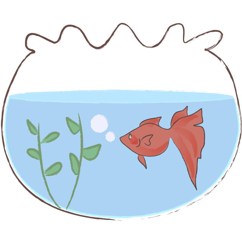 金魚鉢
