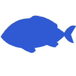 魚のシルエット