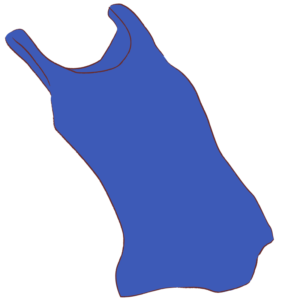 新スクール水着