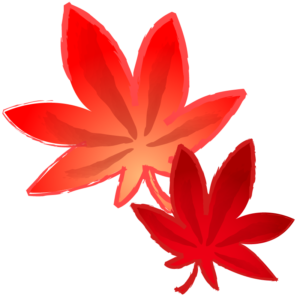 ２枚の紅葉(モミジ)