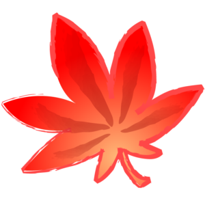 橙の紅葉(モミジ)