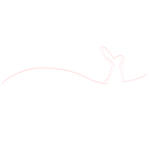 雪ウサギライン(ピンク)　横