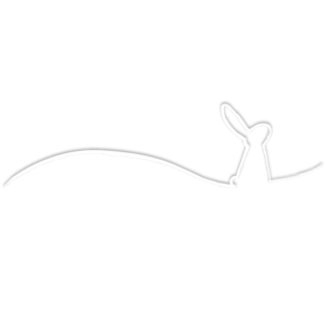 雪ウサギライン(ピンク)　横