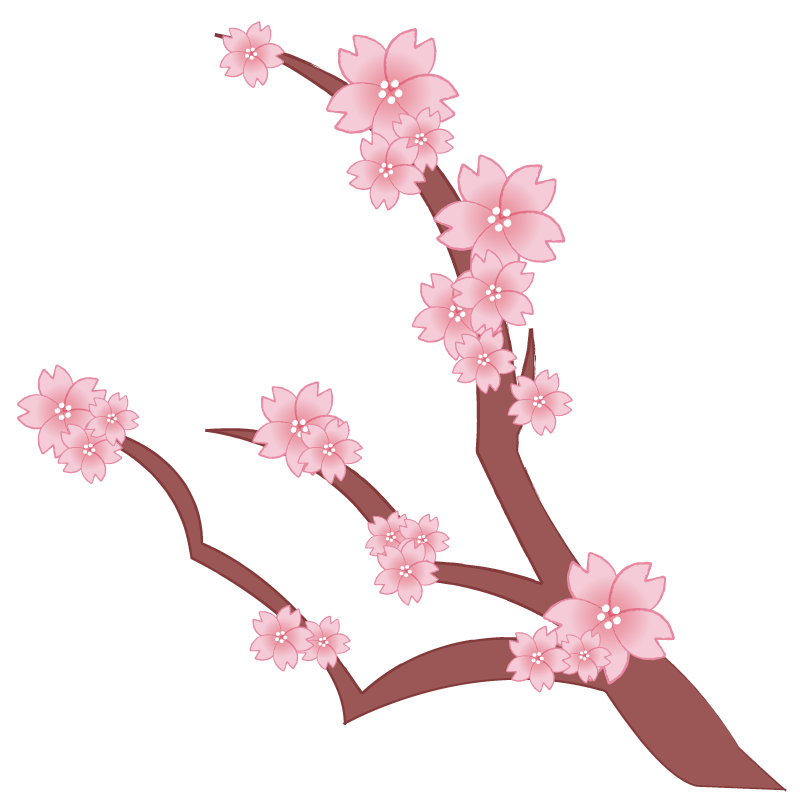 桜の枝(縦)