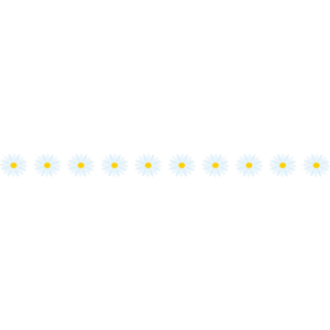 白い花のライン