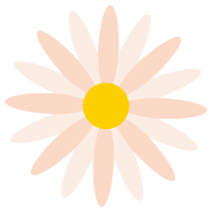 マーガレット（ピンク色）