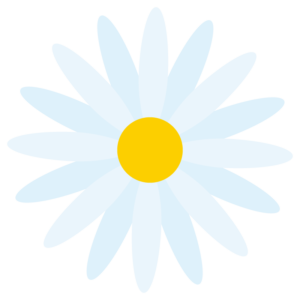 マーガレット（白色）