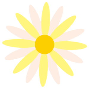 マーガレット（黄色）