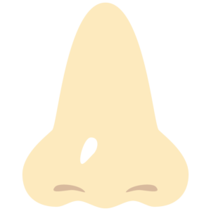 鼻