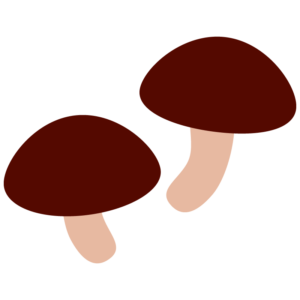 椎茸（しいたけ）