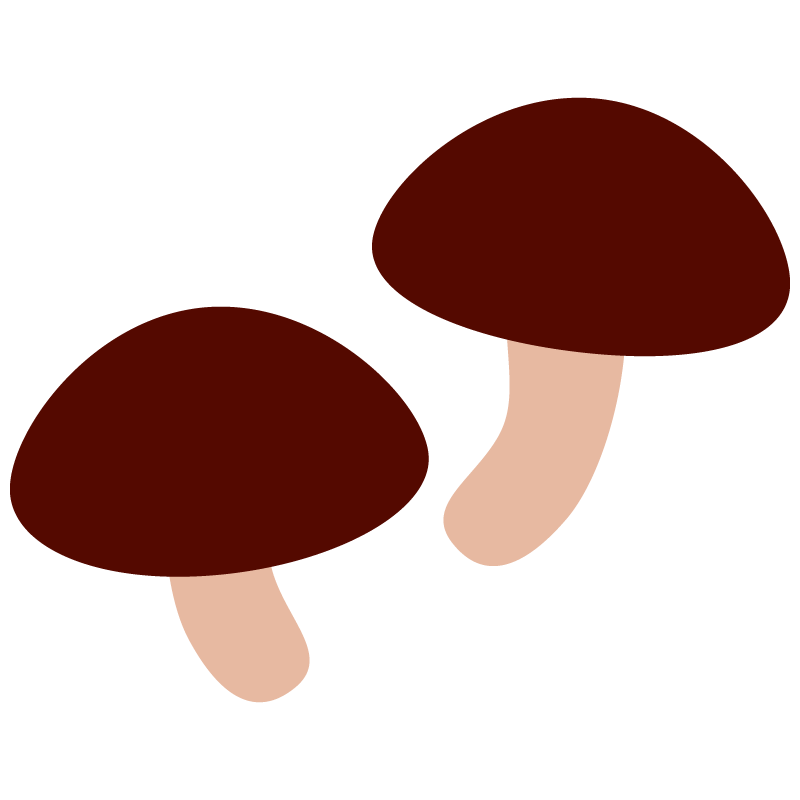 椎茸（しいたけ）