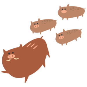 イノシシの親子