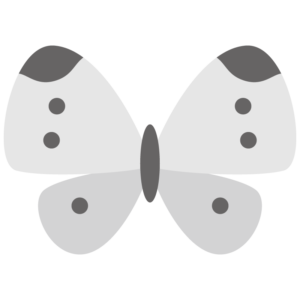 モンシロチョウ（紋白蝶）