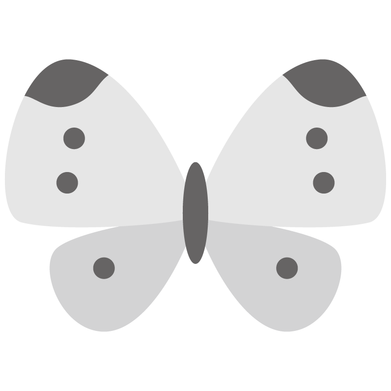 モンシロチョウ（紋白蝶）