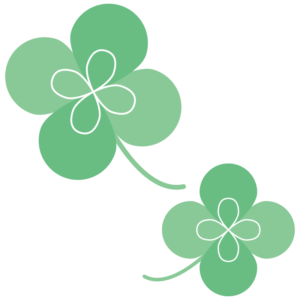 四つ葉のクローバー（シロツメクサ）