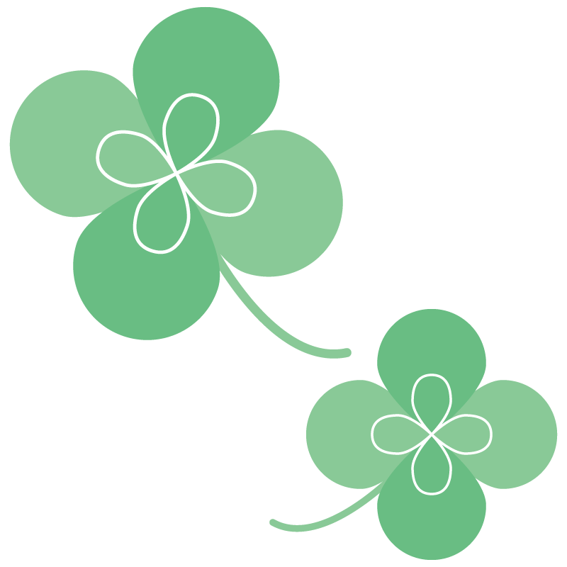 四つ葉のクローバー（シロツメクサ）