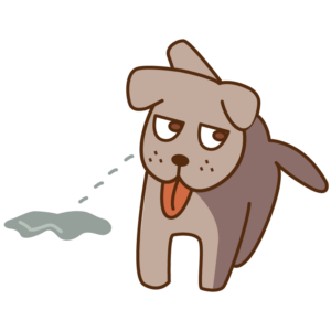 おしっこをする犬