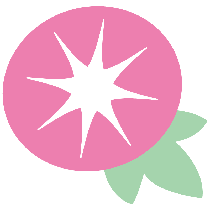 ピンクの朝顔(アサガオ)