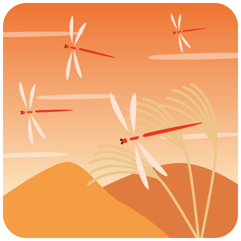 赤とんぼが飛ぶ秋の夕焼け風景