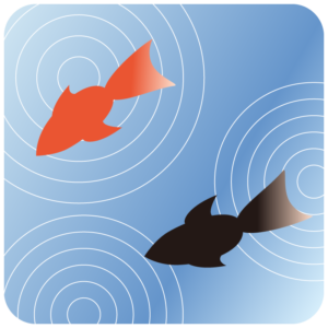 金魚（キンギョ）