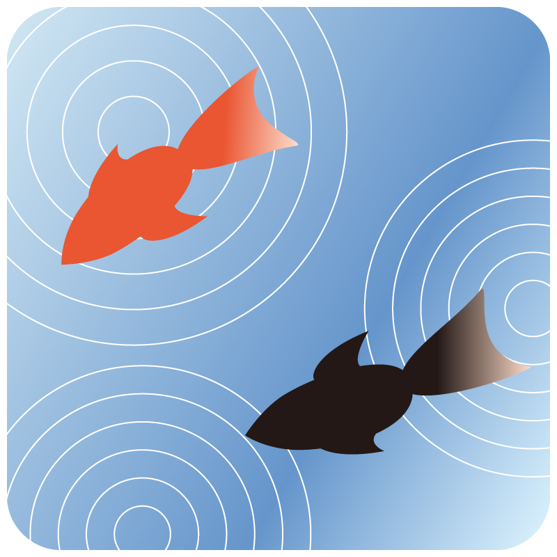 金魚(キンギョ)