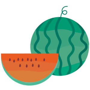 スイカ（オレンジ）