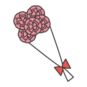 カーネーション