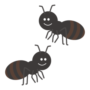 アリ（蟻）
