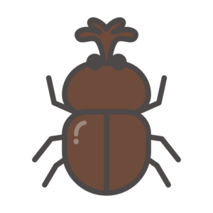 カブトムシ