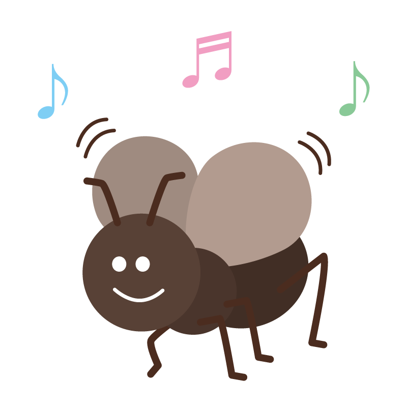 スズムシ（鈴虫）