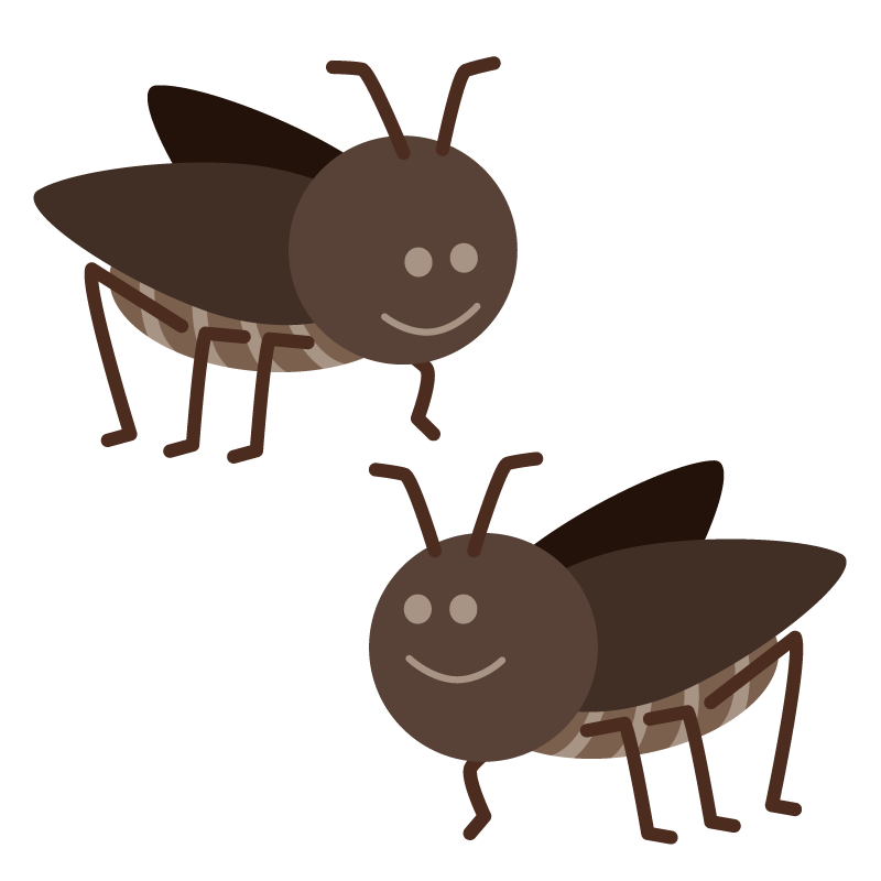 コオロギ（蟋蟀）