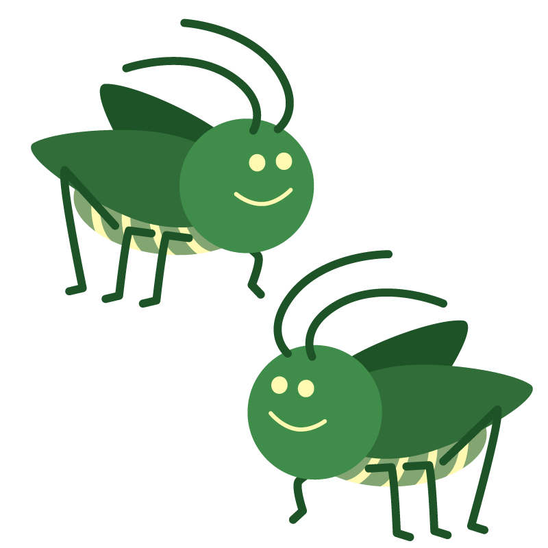 キリギリス（螽斯）