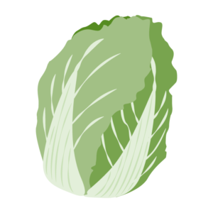 白菜
