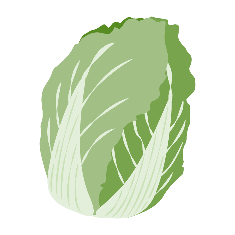 白菜
