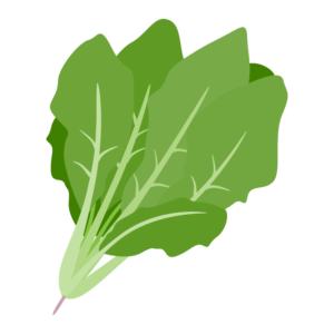 ほうれん草
