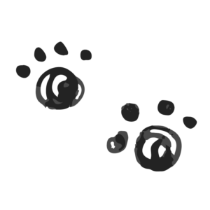 肉球（手書き）