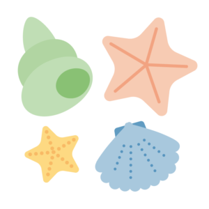 貝殻とヒトデ