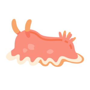 ウミウシ(ピンク色)