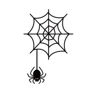 クモの巣とクモ