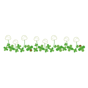 シロツメクサのライン