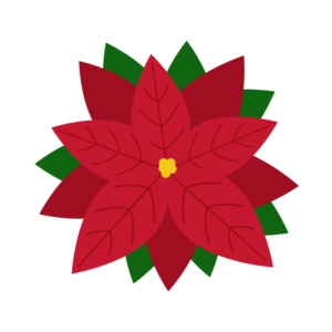 ポインセチア