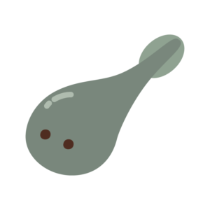 おたまじゃくし