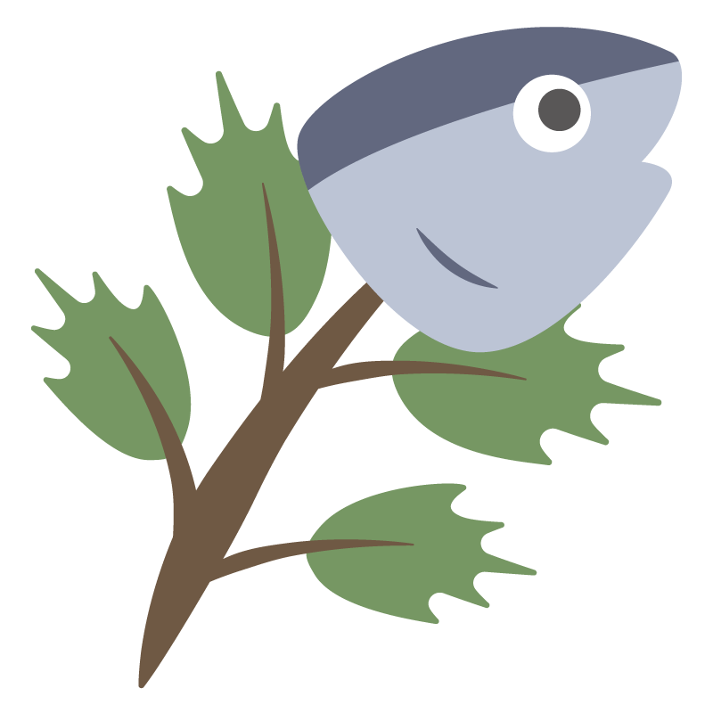 柊鰯(ヒイラギイワシ)