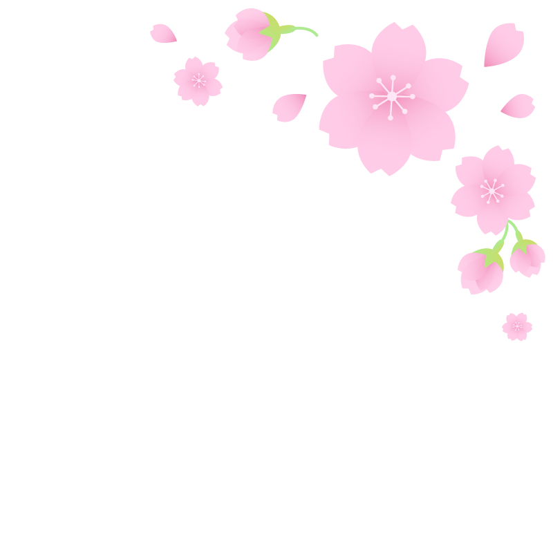 桜　フレーム